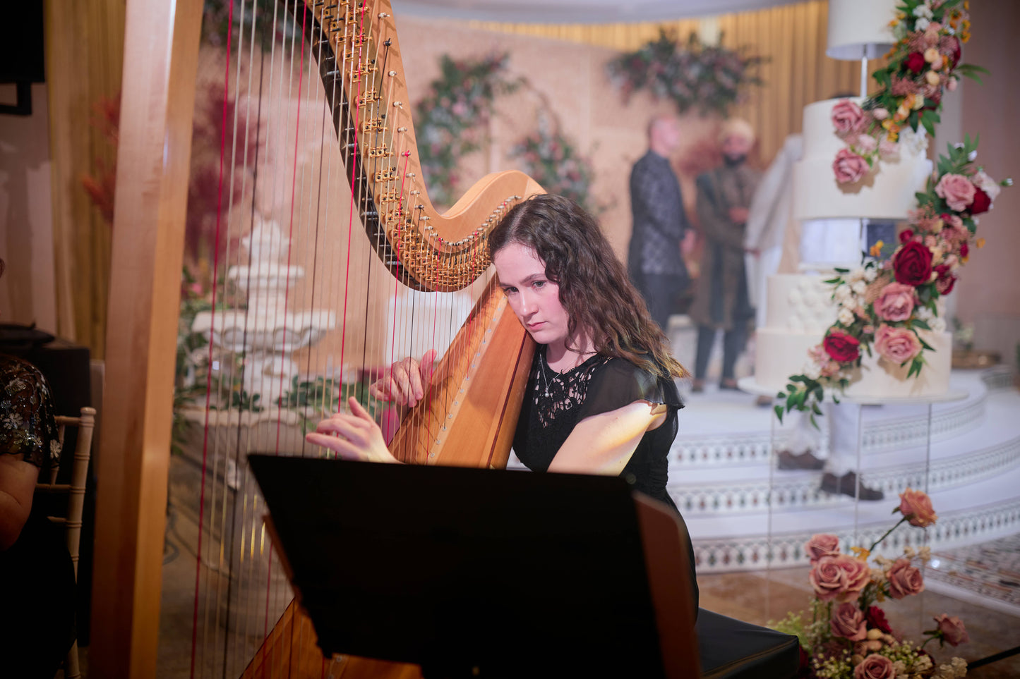String Quartet, Tabla & Harp - 6 players