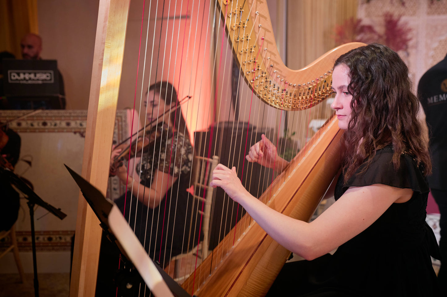 String Quartet, Tabla & Harp - 6 players