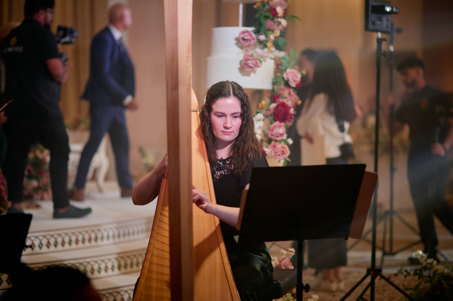 String Quartet, Tabla & Harp - 6 players
