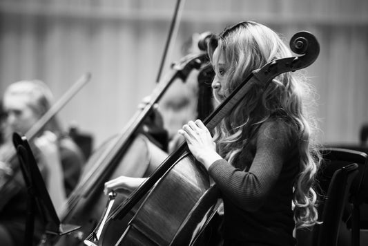 String Orchestra - 8 players