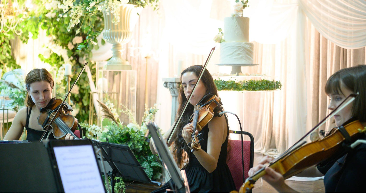 String Quartet