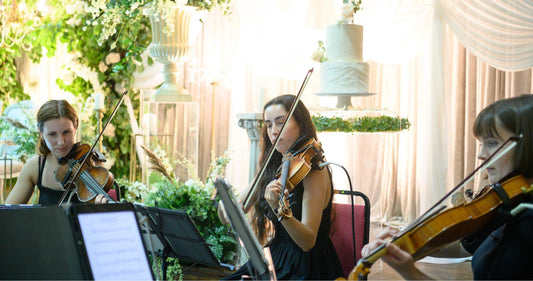 Amplified String Quartet