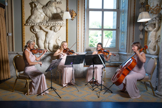 Acoustic String Quartet