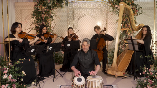 String Quartet, Tabla & Harp - 6 players