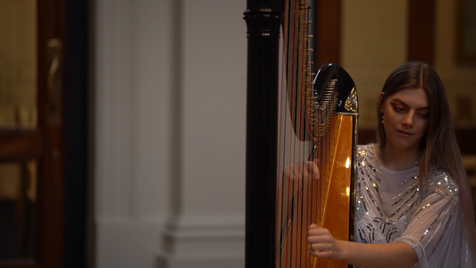 Solo Harpist