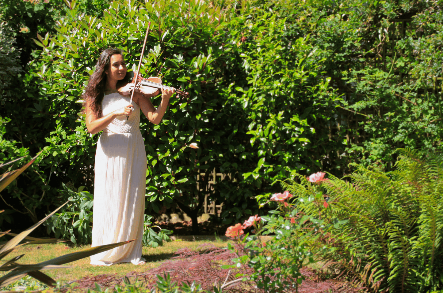 Oxford based Violinist - Naomi