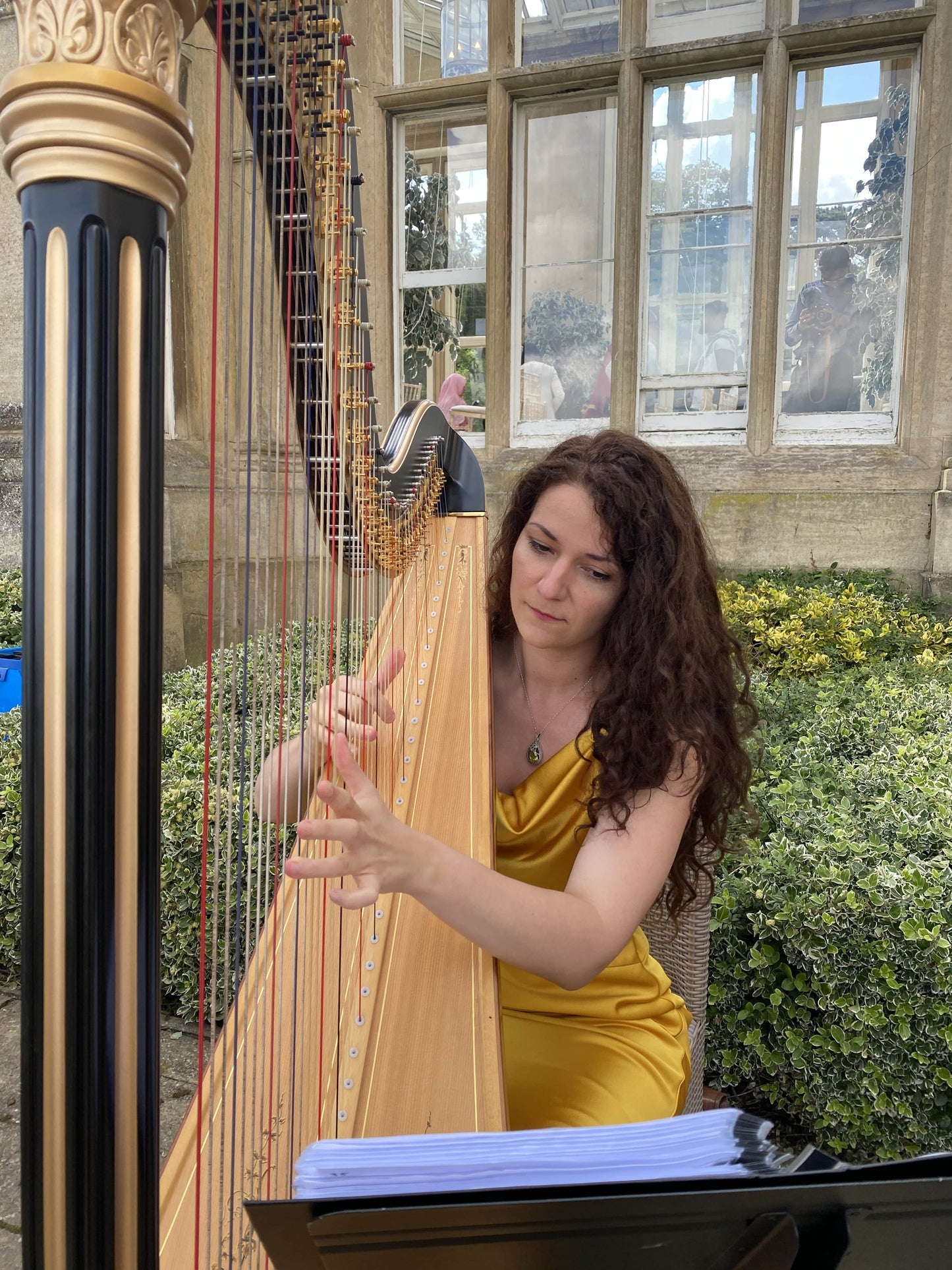 Solo Harpist