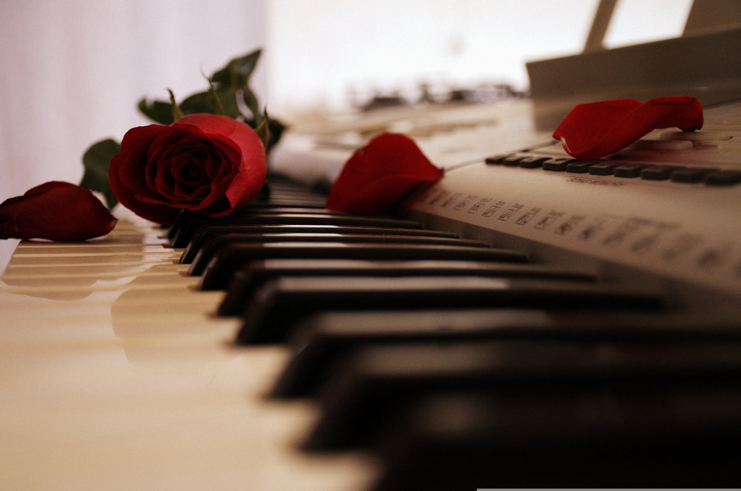 String Quartet & Piano