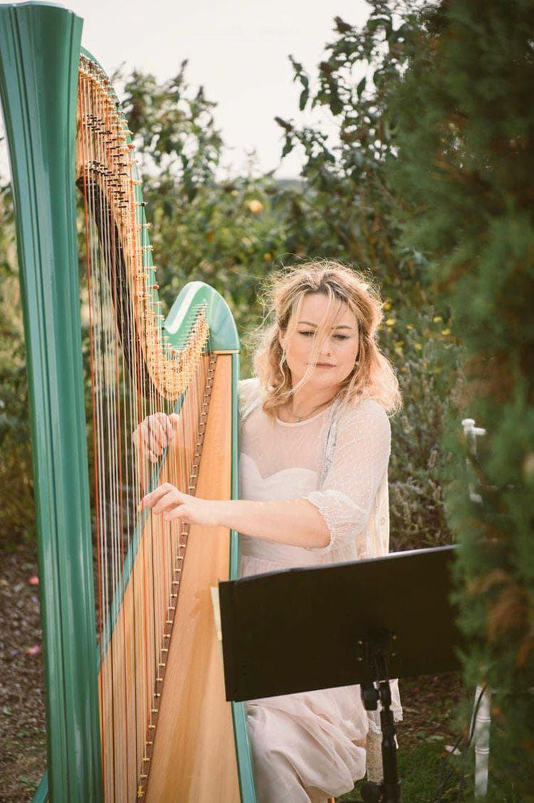 Solo Harpist