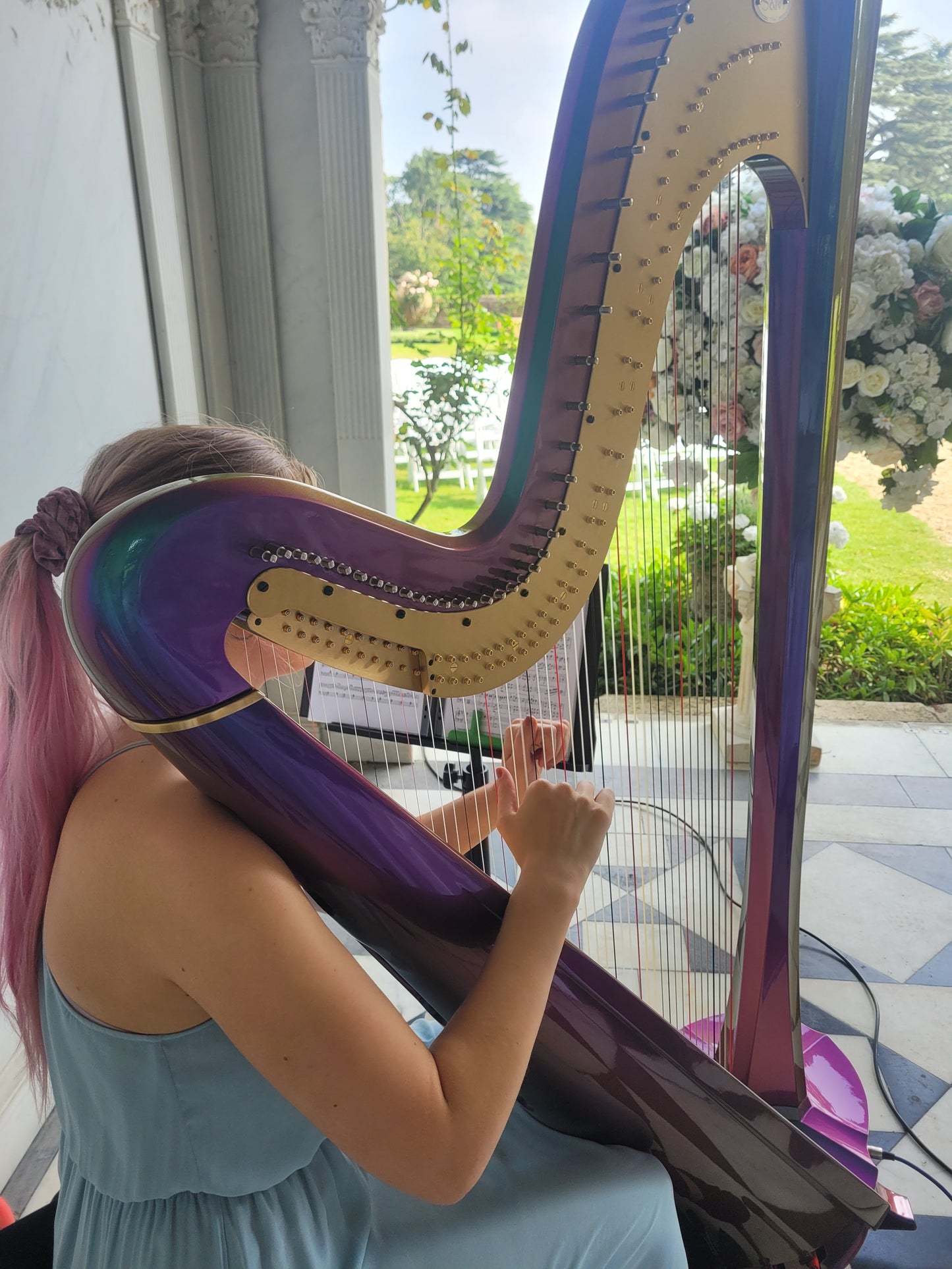 Solo Harpist