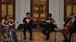 Acoustic String Quartet