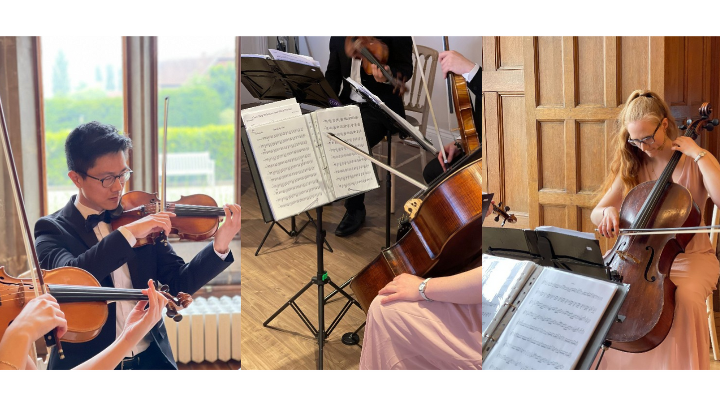 Acoustic String Quartet