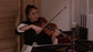 Acoustic String Quartet