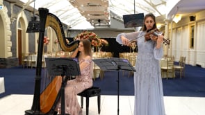 Violin & Harp Duet